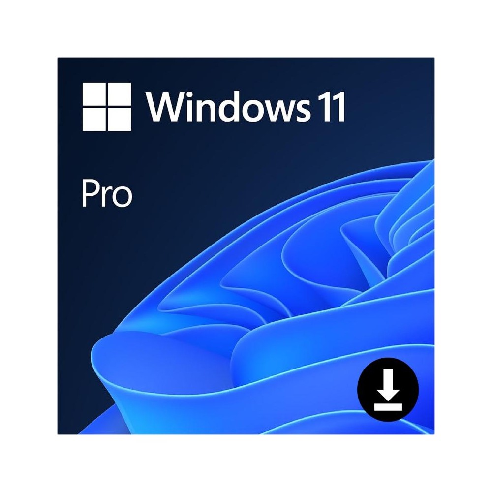 Microsoft Windows 11 PRO ESD PNG.jpg