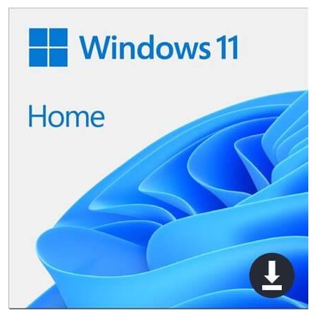 Windows 11 Home.jpg