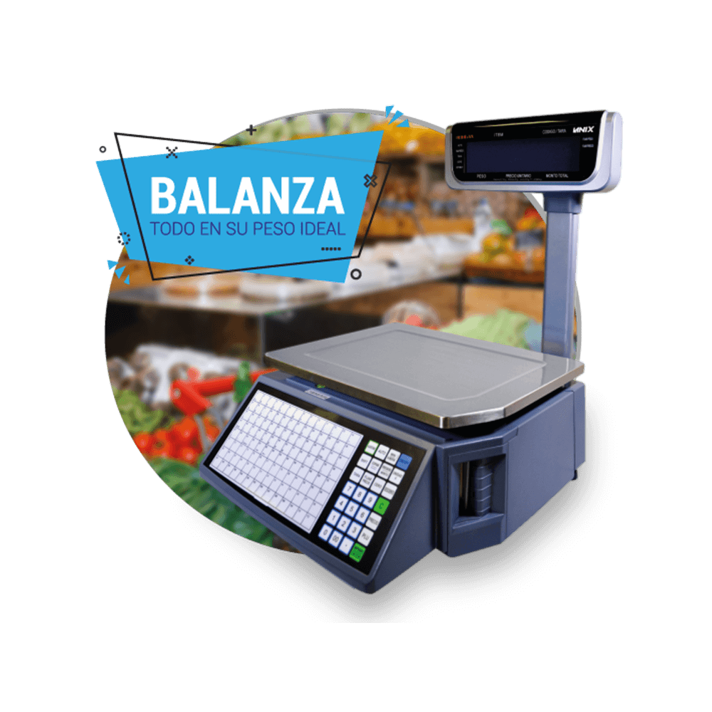 Balanza-lanix principal.png