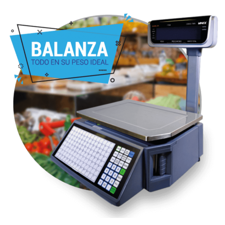 Balanza-lanix principal.png
